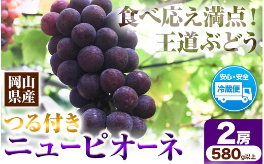 岡山県産ニューピオーネ 2房（580g以上） 先行受付 《9月中旬-10月下旬頃出荷》 【配送不可地域あり】---H-76---