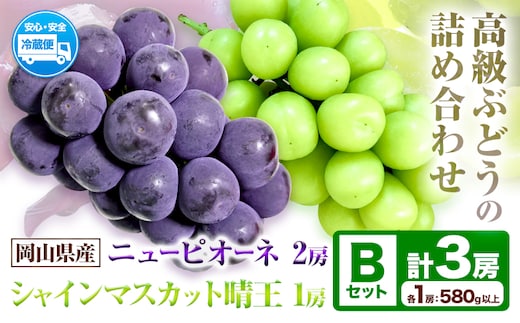 岡山県産ニューピオーネ＆シャインマスカット「晴王」 Bセット （1房580g以上） 先行受付《9月上旬-10月下旬頃》【配送不可地域あり】---H-86---
