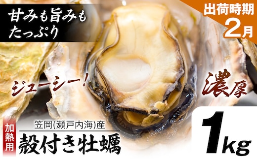 牡蠣事業者応援！ 笠岡産 (瀬戸内海産) 殻付き牡蠣 (加熱用) 1kg《2月上旬-2月末頃出荷》岡山県 笠岡市 かき カキ 牡蠣 生牡蠣 瀬戸内海産 殻付き---K-44a-2j---