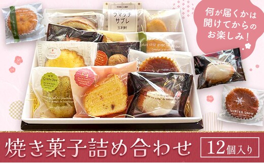 焼き菓子詰め合わせ 12個入り 株式会社玉利軒《30日以内に出荷予定(土日祝除く)》岡山県 笠岡市 焼き菓子 詰め合わせ お土産 和菓子 洋菓子 お菓子 スイーツ 手土産 送料無料---T-47---