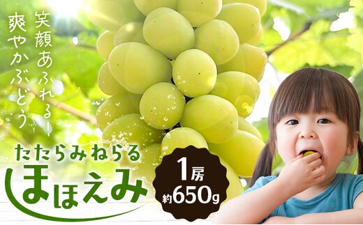 【先行予約】たたらみねらる ほほえみ 1房(約650g) Ｙ＆Ｇ．ディストリビューター株式会社《2026年8月中旬-10月上旬頃出荷》岡山県 笠岡市 果物 フルーツ ブドウ お取り寄せフルーツ シャインマスカット の交配品種---Y-43---