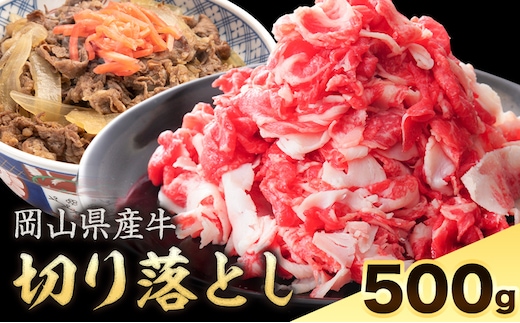 岡山県産牛 切り落とし 交雑牛 500g お試し 大容量《60日以内に出荷予定(土日祝除く)》 岡山県 笠岡市 肉 送料無料---kasaoka_zsy_273_5---