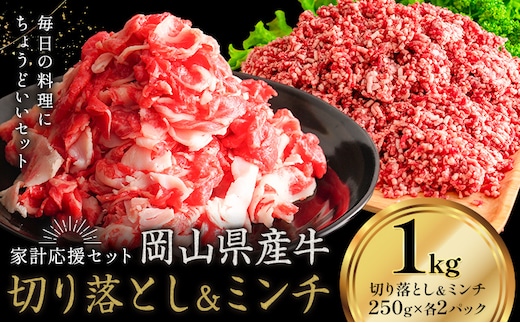 牛肉 国産 切り落とし ミンチ セット 家計応援 岡山県産牛 1kg (切り落とし500g・ミンチ500g) 1パック250g《60日以内に出荷予定(土日祝除く)》岡山県 笠岡市 肉 ひき肉 グルメ お取り寄せグルメ---kasaoka_zsy_281_1---
