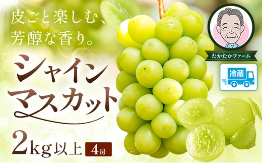ぶどう シャインマスカット マスカット 4房 2kg 《9月上旬-9月下旬頃出荷》 たかたかファーム ブドウ 葡萄 マスカット 果物 フルーツ ギフト 岡山県 笠岡市---T-33---
