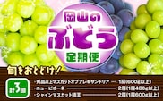 【3回定期便】ぶどう 定期便 計3回コース 岡山県産 シャインマスカット 晴王 ニューピオーネ マスカットオブアレキサンドリア 化粧箱入り 株式会社山博《2026年7月上旬-9月末頃出荷》岡山県 笠岡市 フルーツ 果物 定期 ぶどう マスカット【配送不可地域あり】---Y-40a---