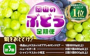 【3回定期便】ぶどう 定期便 計3回コース 岡山県産 シャインマスカット 晴王 ニューピオーネ マスカットオブアレキサンドリア 化粧箱入り 株式会社山博《2026年7月上旬-9月末頃出荷》岡山県 笠岡市 フルーツ 果物 定期 ぶどう マスカット【配送不可地域あり】---Y-40a---