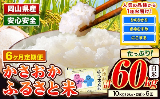 【令和8年2月～令和8年7月発送】米 お米 令和7年産 備中笠岡ふるさと米【6ヶ月定期便】10kg × 6ヶ月【先行受付】 国産 ヒノヒカリ にこまる きぬむすめ 単一原料米 検査済み 国産 ブランド米 お取り寄せ 送料無料 岡山県産---R7-10k-6M-R0802a---