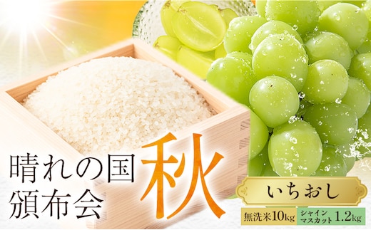 晴れの国頒布会 冬 いちおし 無洗米 10kg 梨 2.5kg《ページ内記載の時期に発送》岡山県 笠岡市 フルーツ 旬 果物 ナシ コメ お取り寄せ---kasaoka_zsytei_371_o2---