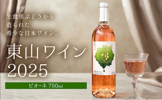 東山ワイン2025 750ml ピオーネ 東山農園《30日以内に出荷予定(土日祝除く)》 岡山県 笠岡市 ブドウ 葡萄 ギフト お取り寄せ 送料無料---H-97---