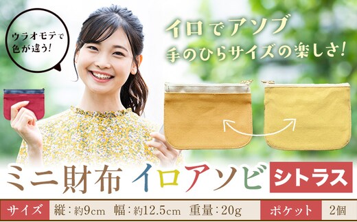 ミニ財布イロアソビ シトラス SIRUHA 《30日以内に出荷予定(土日祝除く)》岡山県 笠岡市 財布 ミニ財布 帆布 送料無料---S-31a_citrus---