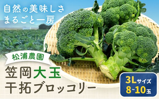 大玉 干拓 ブロッコリー 3Lサイズ 8〜10玉 松浦農園 【配送不可地域あり】（離島） 《12月上旬-5月中旬頃出荷》 岡山県 笠岡市 野菜 青果物---M-12---