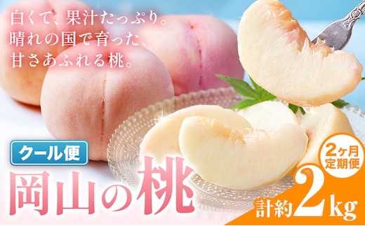【2ヶ月定期便】桃 岡山の桃 約1kg(3～5玉)×2回発送《7月上旬-8月末頃発送》岡山県 笠岡市 白桃 岡山 はくとう スイーツ フルーツ 果物 デザート 旬 モモ もも 送料無料 果物 清水白桃 白鳳 白麗 クール便---kasaoka_zsytei_322_10m2---