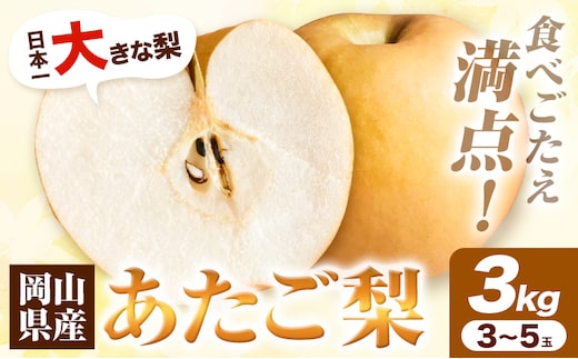 【先行予約】岡山県産 あたご梨 3kg（3〜5玉） 令和8年産 《2026年11月下旬-12下旬頃出荷》【配送不可地域あり】---H-38b---