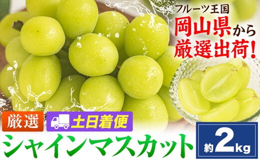 【土日着便】シャインマスカット 約2kg(3-5房)【配送不可地域あり(離島)】《2026年9月上旬-11月上旬頃出荷》岡山県 笠岡市 シャインマスカット 厳選 ぶどう ブドウ 葡萄 マスカット 果物 フルーツ ギフト---kasaoka_zsy_419_2000-hd---