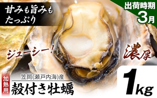 牡蠣事業者応援！ 笠岡産 (瀬戸内海産) 殻付き牡蠣 (加熱用) 1kg《3月上旬-3月末頃出荷》岡山県 笠岡市 かき カキ 牡蠣 生牡蠣 瀬戸内海産 殻付き---K-44a-3j---