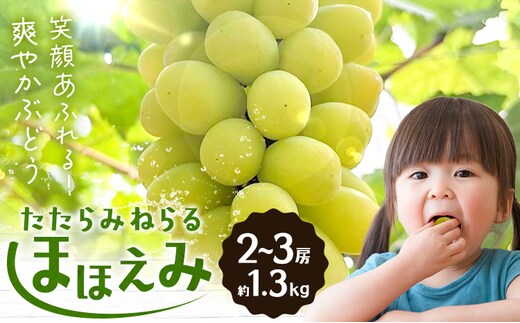 【先行予約】たたらみねらる ほほえみ 2-3房(約1.3kg) Ｙ＆Ｇ．ディストリビューター株式会社《2026年8月中旬-10月上旬頃出荷》岡山県 笠岡市 果物 フルーツ ブドウ お取り寄せフルーツ シャインマスカット の交配品種---Y-44---
