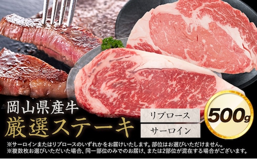 岡山県産牛 ステーキ サーロイン or リブ 交雑牛 500g お試し 大容量《60日以内に出荷予定(土日祝除く)》 岡山県 笠岡市 肉 ステーキ 高級部位 希少部位 グルメ お取り寄せグルメ---kasaoka_zsy_288_50---