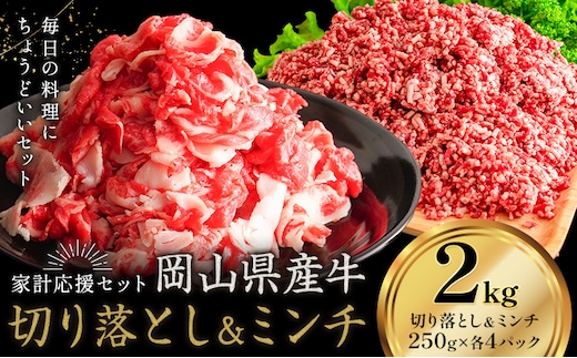 牛肉 国産 切り落とし ミンチ セット 家計応援 岡山県産牛 2kg (切り落とし1kg・ミンチ1kg) 1パック250g《60日以内に出荷予定(土日祝除く)》岡山県 笠岡市 肉 ひき肉 グルメ お取り寄せグルメ---kasaoka_zsy_282_2---
