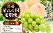 フルーツ 厳選 晴れの国定期便 シャインマスカット 600g 白桃 1kg 米 5kg 無洗米 3回 お届け 定期便 《ページ内記載の時期に発送》 果物 マスカット 桃 こめ コメ 岡山県 笠岡市---kasaoka_zsytei_357_ume3---