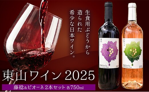 東山ワイン2025 750ml 藤稔 ピオーネ 2本セット 東山農園《30日以内に出荷予定(土日祝除く)》 岡山県 笠岡市 ブドウ 葡萄 ギフト お取り寄せ 送料無料---H-98---