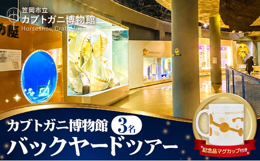 バックヤードツアー 記念品 マグカップ 付き 3名 カブトガニ博物館《寄附お申し込み約1週間後にご連絡差し上げます(土日祝除く)》岡山県 笠岡市 カブトガニ 博物館 バックヤード チケット ツアー 送料無料」---K-74---