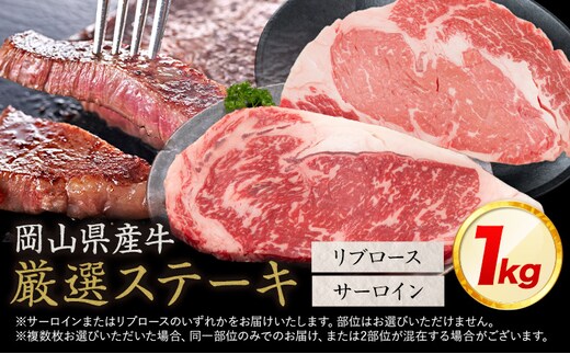 岡山県産牛 ステーキ サーロイン or リブ 交雑牛 1kg お試し 大容量《60日以内に出荷予定(土日祝除く)》 岡山県 笠岡市 肉 ステーキ 高級部位 希少部位 グルメ お取り寄せグルメ---kasaoka_zsy_289_100---