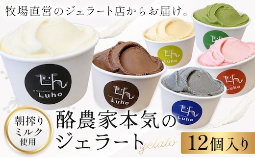 アイス スイーツ ジェラート 酪農家本気のジェラート 12個 《30日以内に出荷予定(土日祝除く)》岡山県 笠岡市 ミルク チョコレート チョコ いちご 抹茶 バナナ 黒ごま---F-46---