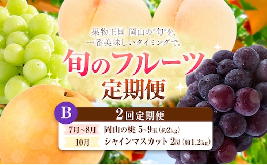 【定期便】旬のフルーツ定期便 岡山のﾌﾙｰﾂ 定期便 Bコース 2回定期便 岡山県産 桃 シャインマスカット ニューピオーネ 梨 《7月上旬-10月末頃出荷》岡山県 笠岡市 フルーツ 旬 果物 ぶどう 梨 マスカット お取り寄せ---kasaoka_zsytei_325_ms2b---