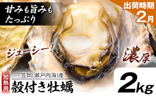 牡蠣事業者応援！ 笠岡産 (瀬戸内海産) 殻付き牡蠣 (加熱用) 2kg《2月上旬-2月末頃出荷》岡山県 笠岡市 かき カキ 牡蠣 生牡蠣 瀬戸内海産 殻付き---K-45a-2j---