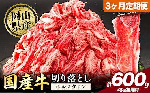 牛肉 肉 国産牛 切り落とし ホルスタイン 大容量 小分け 600g × 3ヶ月定期便 《お申込み月の翌月から出荷開始》岡山県産 岡山県 笠岡市 お肉 にく カレー 牛丼 牛肉 切り落し 小分け 切落し 牛肉 小分け 牛肉---kasaoka_zsytei_132_600g---