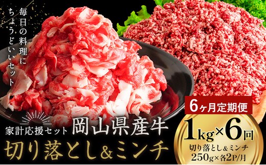 【6ヶ月定期便】牛肉 国産 切り落とし ミンチ セット 家計応援 岡山県産牛 1kg×6回 1パック250g《お申し込み月の翌月から出荷開始》岡山県 笠岡市 肉 ひき肉 グルメ お取り寄せグルメ---kasaoka_zsytei_285_1---