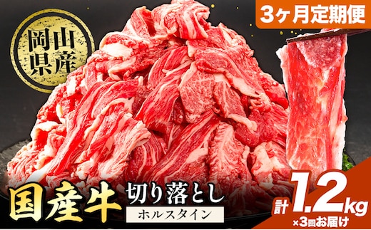 牛肉 肉 国産牛 切り落とし ホルスタイン 大容量 小分け 1.2kg × 3ヶ月定期便 《お申込み月の翌月から出荷開始》岡山県産 岡山県 笠岡市 お肉 にく カレー 牛丼 牛肉 切り落し 小分け 切落し 牛肉 小分け 牛肉---kasaoka_zsytei_134_1200g---