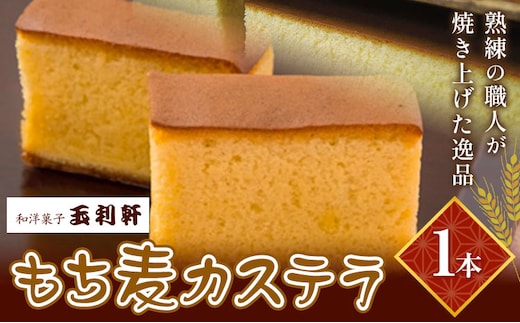 もち麦カステラ 1本 株式会社玉利軒《30日以内に出荷予定(土日祝除く)》岡山県 笠岡市 カステラ もち麦 お土産 和菓子 手土産 送料無料---T-37---