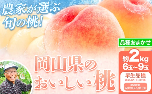 【先行予約】【6月中旬-7月上旬頃出荷】桃 早生品種 2kg もも 岡山 はなよめ 白川白鳳 岡山県 笠岡市 送料無料 果物 フルーツ お取り寄せ---N-10-w---