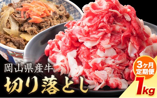 【3ヶ月定期便】岡山県産牛 切り落とし 交雑牛 1kg お試し 大容量《お申込み月の翌月から出荷開始》 岡山県 笠岡市 肉 送料無料---kasaoka_zsytei_276_10---
