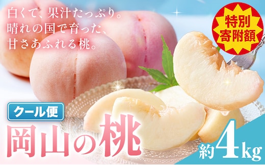 【豊作につき特別寄附額】桃 岡山の桃 約4kg《6月下旬-9月上旬頃発送》岡山県 笠岡市 白桃 岡山 はくとう スイーツ フルーツ 果物 デザート 旬 モモ もも 送料無料 果物 清水白桃 白鳳 白麗 クール便---kasaoka_zsy_414a_40---
