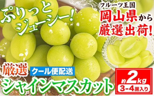 【2026年発送先行予約】シャインマスカット 約2kg (3-4房入) 《2026年9月上旬-11月中旬頃出荷》ぶどう ブドウ 葡萄 マスカット 果物 フルーツ ギフト 岡山県 笠岡市 フルーツ マスカット---kasaoka_zsy_222_20---