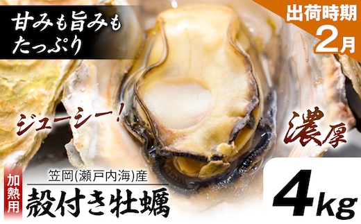 牡蠣事業者応援！ 笠岡産 (瀬戸内海産) 殻付き牡蠣 (加熱用) 4kg《2月上旬-2月末頃出荷》岡山県 笠岡市 かき カキ 牡蠣 生牡蠣 瀬戸内海産 殻付き---K-46a-2j---