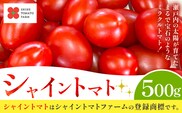 シャイントマト 500g シャイントマトファーム《12月上旬-6月中旬頃出荷》岡山県 笠岡市 送料無料 トマト 野菜 ミニトマト【配送不可地域あり】---S-24---