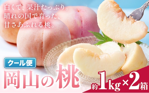 桃 岡山の桃 約1kg × 2箱 《6月下旬-9月上旬頃出荷予定》岡山県 笠岡市 白桃 岡山 はくとう スイーツ フルーツ 果物 旬 モモ もも 果物 清水白桃 白鳳 クール便---kasaoka_zsy_409_1010_eve---