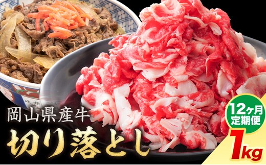 【12ヶ月定期便】岡山県産牛 切り落とし 交雑牛 1kg お試し 大容量《お申込み月の翌月から出荷開始》 岡山県 笠岡市 肉 送料無料---kasaoka_zsytei_280_10---