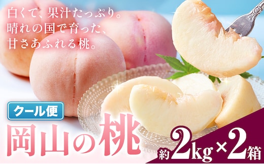桃 岡山の桃 約2kg × 2箱 《6月下旬-9月上旬頃出荷予定》岡山県 笠岡市 白桃 岡山 はくとう スイーツ フルーツ 果物 旬 モモ もも 果物 清水白桃 白鳳 クール便---kasaoka_zsy_410a_2020---
