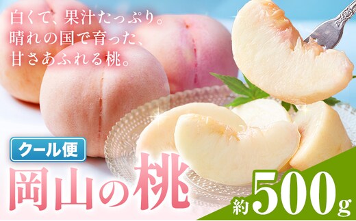 【2027年発送】 岡山の桃 約500g《2027年6月下旬～9月上旬頃出荷》岡山県 笠岡市 白桃 岡山 はくとう スイーツ フルーツ 果物 デザート 旬 モモ もも 送料無料 果物 清水白桃 白鳳 白麗 クール便---kasaoka_zsy_417_050a---