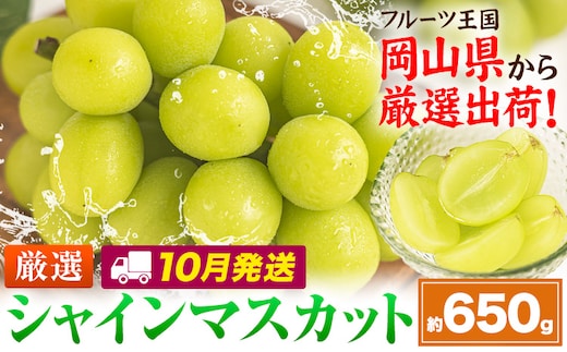【10月発送】シャインマスカット 約650g(1房)《2026年10月上旬-10月末頃出荷》岡山県 笠岡市 シャインマスカット 厳選 ぶどう ブドウ 葡萄 マスカット 果物 フルーツ ギフト---kasaoka_zsy_417_650-10m---