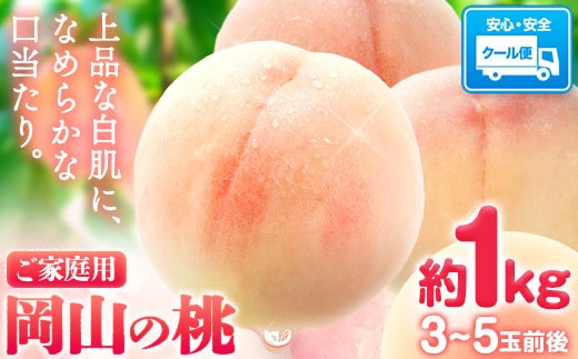 【先行受付】岡山の桃 約1kg (3~5玉前後)白桃 岡山 はくとう スイーツ フルーツ 果物 デザート 旬 モモ もも 先行予約 果物 岡山県 笠岡市 清水白桃 白鳳 白麗 クール便《2026年6月下旬-9月上旬頃出荷》 ---kasaoka_zsy_149_1---