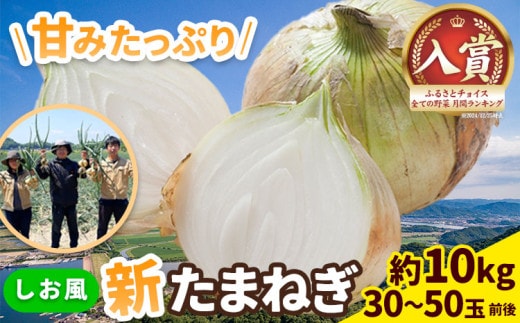 新たまねぎ【先行予約】しお風新たまねぎ 約10kg《5月中旬-6月上旬頃出荷》 玉ねぎ たまねぎ 野菜 青果物 岡山県 笠岡市 玉ねぎ 10000円以下 10000円以内---kasaoka_zsy_140_10---
