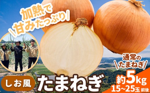 たまねぎ【先行予約】しお風たまねぎ 約5kg《6月上旬-6月末頃出荷》 玉ねぎ たまねぎ 野菜 青果物 岡山県 笠岡市 玉ねぎ 5kg 5000円以下 5000円以内 10000円以下 10000円以内---kasaoka_zsy_143_5---