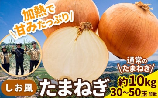 たまねぎ【先行予約】しお風たまねぎ 約10kg《6月上旬-6月末頃出荷》 玉ねぎ たまねぎ 野菜 青果物 岡山県 笠岡市 玉ねぎ 10kg 一万円以下 一万以下 10000円以下---kasaoka_zsy_144_10---