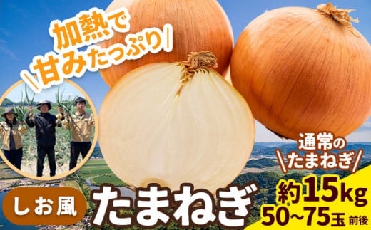 たまねぎ【先行予約】しお風たまねぎ 約15kg《6月上旬-6月末頃出荷》 玉ねぎ たまねぎ 野菜 青果物 岡山県 笠岡市 一万円 一万 10000円 人気---kasaoka_zsy_145_15---