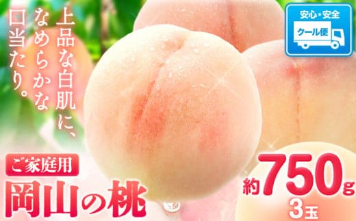 【先行予約】岡山の桃 約750g 《2026年6月下旬-9月上旬頃出荷》 ご家庭用 訳あり 白桃 岡山 旬 モモ もも 先行予約 送料無料 果物 岡山県 笠岡市 清水白桃 白鳳 白麗 クール便---kasaoka_zsy_148_750---